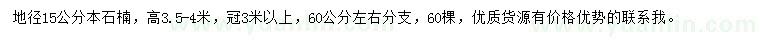 求购地径15公分本石楠