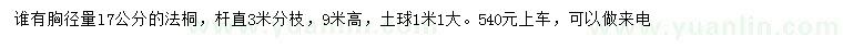 求购胸径量17公分法桐