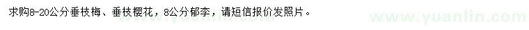 求购垂枝梅、垂枝樱花、郁李