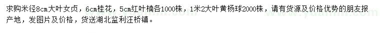 求购大叶女贞、桂花、红叶石楠等