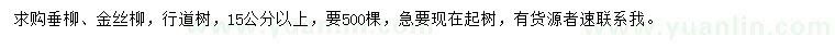 求购15公分以上垂柳、金丝柳