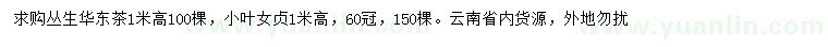 求购高1米丛生华东茶、小叶女贞