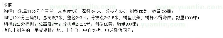 求购广玉兰、三角枫、榉树