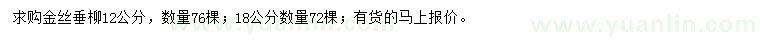 求购12、18公分金丝垂柳