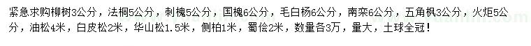 求购柳树、法桐、刺槐等