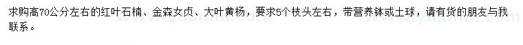 求购红叶石楠小苗、金森女贞小苗、大叶黄杨小苗