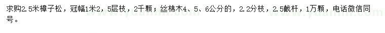 求购2.5米樟子松、4、5、6公分丝绵木