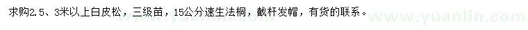 求购2.5、3米以上白皮松、15公分速生法桐