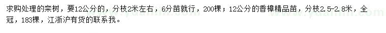 求购12公分栾树、香樟