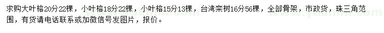 求购大叶榕、小叶榕、台湾栾树