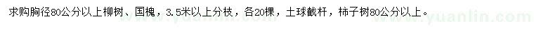 求购柳树、国槐、柿子树