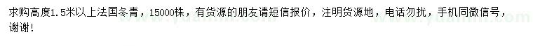 求购高度1.5米以上法国冬青