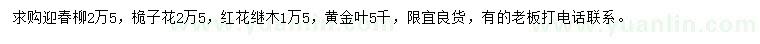 求购迎春柳、桅子花、红花继木等