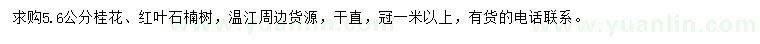 求购5.6公分桂花、红叶石楠树