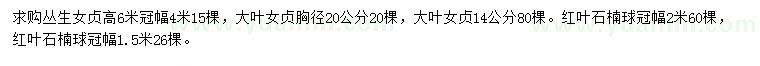 求购丛生女贞、大叶女贞、红叶石楠球