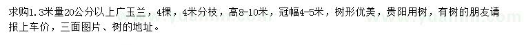 求购1.3米量20公分以上广玉兰