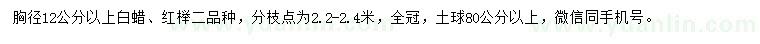 求购胸径12公分以上白蜡、红榉