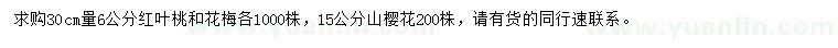 求购红叶桃、花梅、山樱花