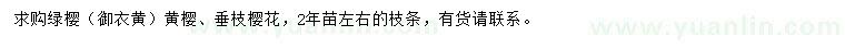 求购绿樱、黄樱、垂枝樱花