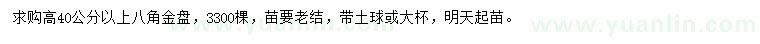 求购高40公分以上八角金盘