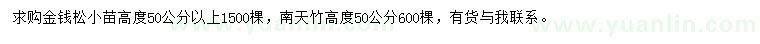 求购高度50公分金钱松小苗、南天竹