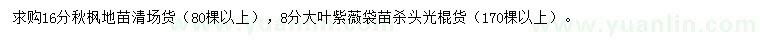 求购16公分秋枫、8公分大叶紫薇