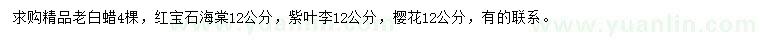 求购老白蜡、红宝石海棠、紫叶李等