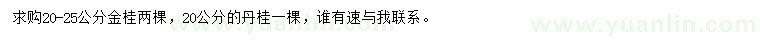 求购20-25公分金桂、20公分丹桂