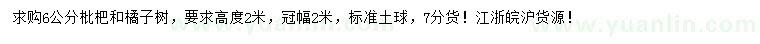 求购6公分枇杷、橘子树