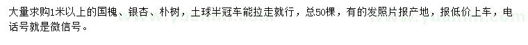 求购国槐、银杏、朴树