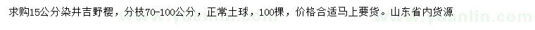 求购15公分染井吉野樱