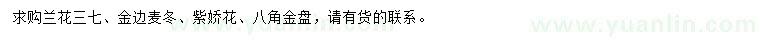 求购兰花三七、金边麦冬、紫娇花等