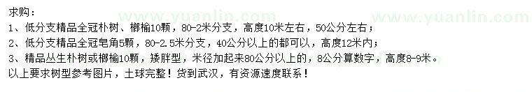 求购朴树、榔榆、皂角等