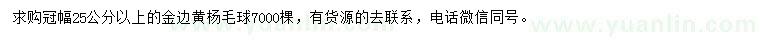 求购冠幅25公分以上金边黄杨毛球