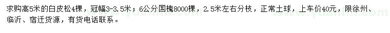 求购高5米白皮松、6公分国槐