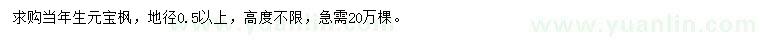 求购地径0.5公分以上元宝枫