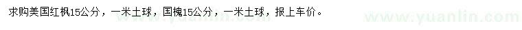 求购15公分美国红枫、国槐