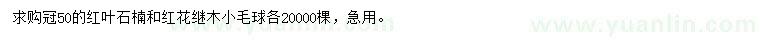 求购冠50公分红叶石楠、红花继木小毛球