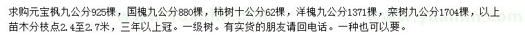 求购元宝枫、国槐、柿树等