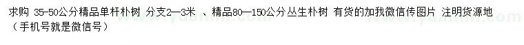 求购35-50公分朴树、80-150公分丛生朴树