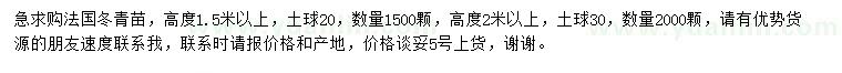 求购高度1.5米以上法国冬青苗