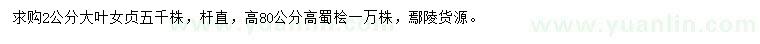 求购2公分大叶女贞、高80公分蜀桧