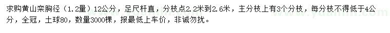 求购胸径1.2量12公分黄山栾