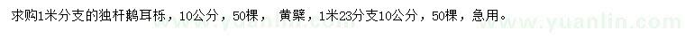 求购10公分鹅耳栎、黄檗