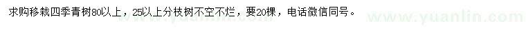 求购80公分以上移栽四季青树