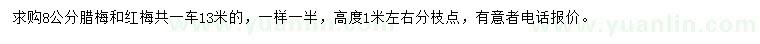 求购8公分腊梅、红梅