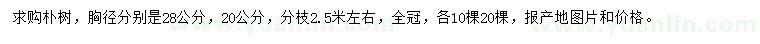 求购胸径20、28公分朴树