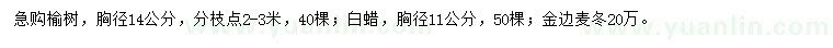 求购榆树、白蜡、金边麦冬