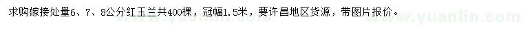 求购嫁接处量6、7、8公分红玉兰