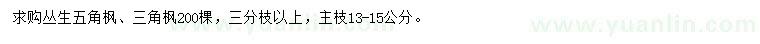 求购丛生五角枫、三角枫